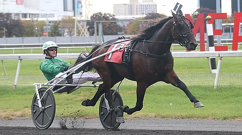 Åke Svanstedtin Ambassador Hanover paransi ennätystään rutkasti Breeders-karsinnassa.