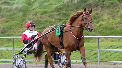 Antti Kinnusen Margarida on toisen tammaderbykarsinnan suurin suosikki.