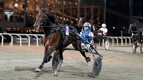 Tetrick Wania ja Riina Rekilä.