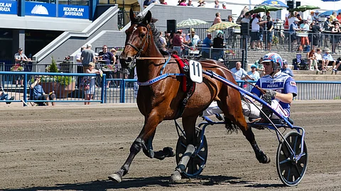 BWT Danger on ideavihjeen varma.