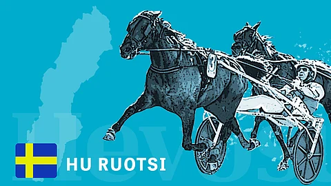 T75 Winter Burst ajaa keskiviikon T86-kierroksen yli – Timber hakee revanssia