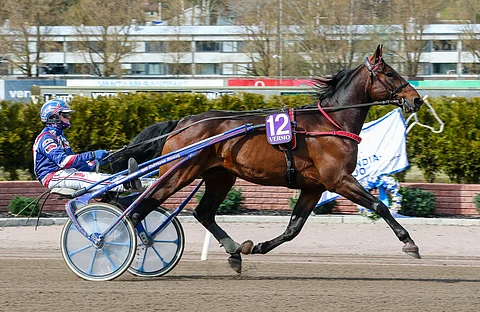 Samurai Comery aloitti Ruotsissa voitolla.