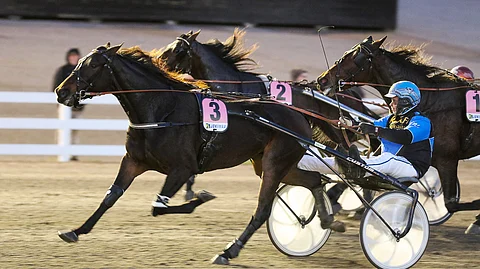 Juha Utalan Fazimo on torstain ideavarma.