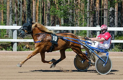 Jarkko Kervinen ja Alpertto kiihdyttävät vuoden ensimmäiseen Toto65-kohteeseen ykkösradalta.