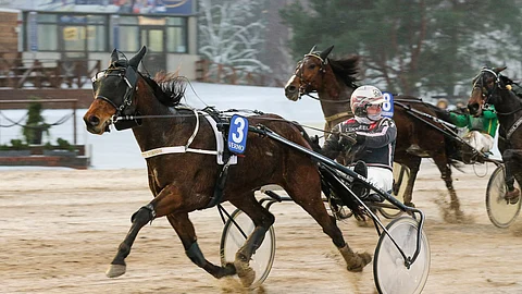 Pretty Vision pyrkii kärkipaikalla, josta sen koko matkan johto ei olisi yllätys.