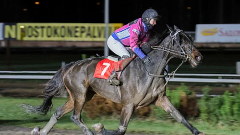 He Is Felix menestyi hyvin myös montéssa.