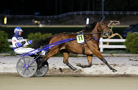 Nelivuotiaan Busy Combon kilparupeama pohjoisessa alkoi väkevästi. Tässä kuvassa tamma vielä osakasvattajansa ja entisen valmentajansa Pekka Korven kanssa.