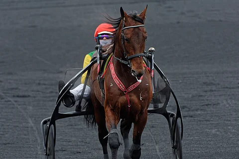 Davidson du Pont on luonnollisesti korkeimmalla Elitloppet-hevosten toivelistalla. Kuva: HU arkisto