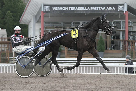 BWT Dictatorin ura ei ole lähtenyt odotetulla tavalla käyntiin.