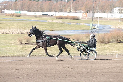 Janina Lehtonen, 29, on edennyt hevosenhoitajasta ammattivalmentajaksi ja on valmis ottamaan taas uuden askeleen urallaan.