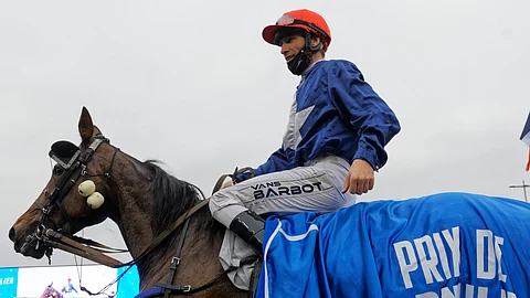 Flamme du Goutier on kaksinkertainen Prix de Cornulierin voittaja.