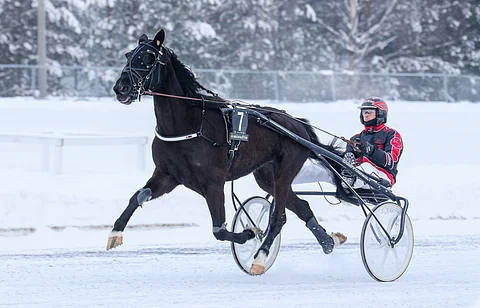 Midleton on aloittanut Ruotsissa asiallisesti sijoilla 3, 5 ja 4, vaikka lähtöpaikat ovat vastustaneet.