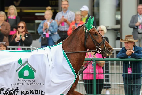 Vilma Lyydia 22,7 kilpaili urallaan 181 kertaa totosijoin 34-26-20 ja tienasi yhteensä 118 376 euroa.