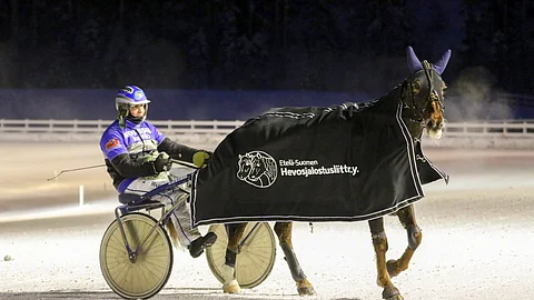 Henri Bollströmin ohjastama Hurman Viesker jyräsi laukasta huolimatta kärkeen Lahden Kavioliiga-raveissa tammikuussa. Lauantaina kyydissä istuu Olli Koivunen.