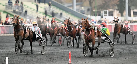 Feydeau Seven voittaa Prix de Belgiquen, tallikaveri Davidson du Pont laukkaa.