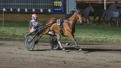 Ilos Sansibarin Suomessa alkanut voittoputki jatkui ensimmäisessä Ruotsin startissa.