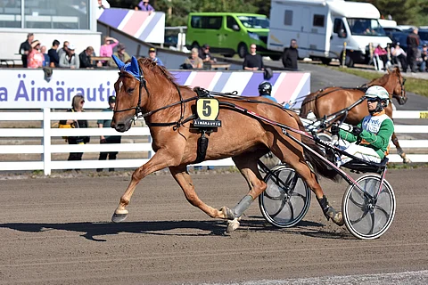 Lystilän Lento on kierroksen pankki, mutta voitokas ruuna varmistetaan.