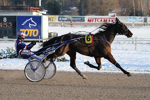Voitokas Night Guard pyrkii palaamaan kahden hankosidevamman jälkeen kilparadoille.