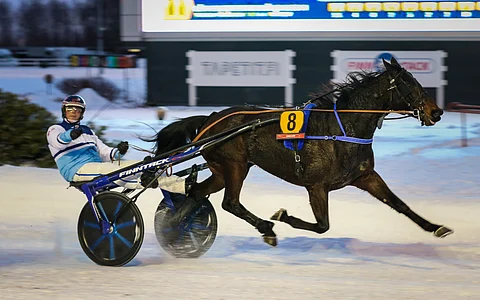 Riku Salminen on menestynyt hienosti valmentamallaan Vikens Energyllä.