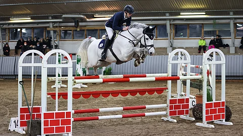 Jos omistaa vain yhden hevosen, ei ole yhtään huono, että se on laadultaan kuin Tomi Jalkasen Clarimo.