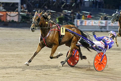 Bismarck Comeryn vastus kovenee viime starteista lauantaina Axevallassa.