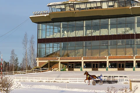 Jokimaalle kaivataan ensi torstaiksi lisää hevosia.