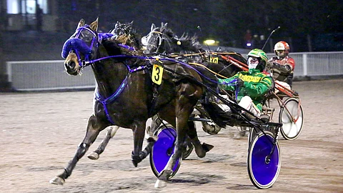 BWT Ellospank voitti 8 viime kauden 21 startistaan.