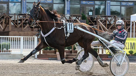 Marlon Dee tähtää keulapaikalle ja on varustemuutoksen kanssa ideavihjeen toinen varma.