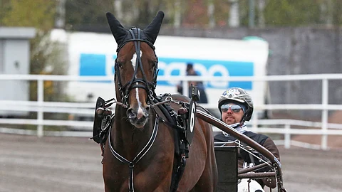 Maxus vieraili Vermossa kevään 2019 Glenn Kosmos Memorialissa.