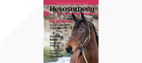 Jalostuskuvaston kannessa on ensimmäistä varsaansa odottava Mascate Match.