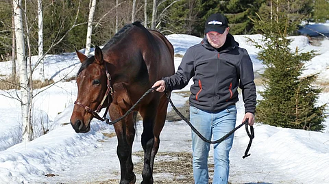Typhoon Face muutti lauantaina kuvan Exuberancen tallikaveriksi.