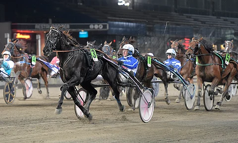 Galileo Journey aloitti uransa kuudella voitolla kahdeksasta ensimmäisestä startista.