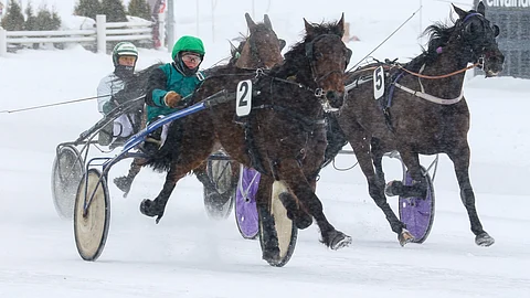 Heimo Hämäläinen on ohjastanut kahta vaille kaikki Erik Flashin uran kisat.