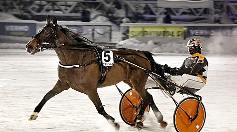 Stonecapes Unity on kirinyt hienosti tuoreimmissa starteissaan. Tässä se voittaa 2.2.2022 Vermossa.