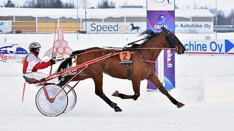 Voitto oli Toto75-tasolla niin Veera Vekolalle, kuin myös Frozen A.F.:lle uran ensimmäinen