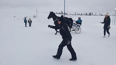 Sari Jauhojärvi pääsi tuulettamaan, kun talli Saxoi kirmasi puoliso Jarmo Männyn ajamana ykköseksi.