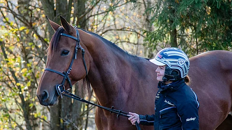 Staro Miamin ja sen hoitajan Etta Pakkasen tiet erosivat sunnuntaina, kun tamma lähti Ranskaan.