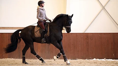 Noora Nisula ja Legend Blackjack, pian orilautakunnan edessä taas.