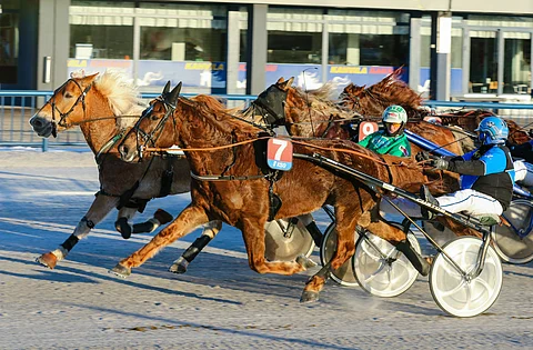 Tarunlento on illan suursuosikeista paras varma Toto5-peliin.