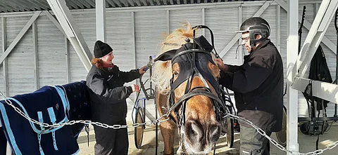 Sipilän omistajat Kirsti ja Jussi Evijoki riisuivat suojattinsa varusteita hienon kilpailun jälkeen. Ruunan kolmas omistaja on Päivi Ylitalo, joka on myös kasvattanut Sipilän yhdessä Jussi Saranpään kanssa.
