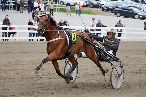 Poetry In Motion kilpaili urallaan 66 kertaa totosijoin 16-6-8. Voittosummaksi jäi 62 038 euroa ja ennätykseksi 12,9.