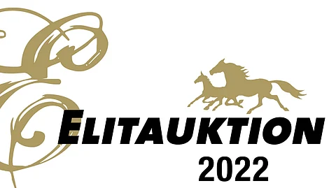 Ruotsin kasvattajajärjestö ASVT:n Elitauktion pidetään livenä kahden vuoden tauon jälkeen.