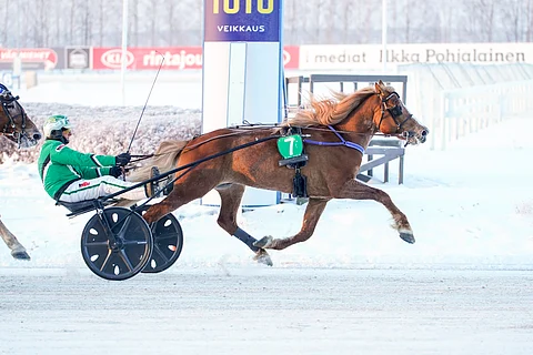 Ari Moilanen ohjasti H.V. Tuurin voittoon viime marraskuussa Seinäjoella. Nyt hän ajaa Stallonea, ja Tuurin rattaille hyppää Tommi Kylliäinen.