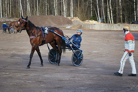 Riina Rekilä luovuttaa vastuun Tetrick Wanian valmennuksesta lähipäivinä Michael Nimczykille.