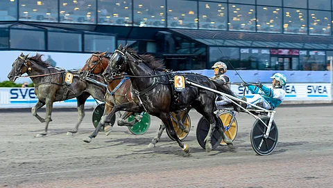 Brambling piti Kriteriumin tasaisessa maaliintulossa San Moteurin ja Henry Flyer Sisun I9) niukasti takanaan.