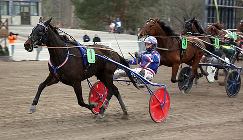 Olli Koivunen on ohjastanut Saku Mikkolan ja Markku Punkarin omistamaa Stonecapes Ulricaa sen jokaisessa kisassa. Lauantaina kuski hamuaa ensimmäistä Pilvenmäki Special -voittoaan. Harri Koivunen vei kisan nimiinsä Ranch Get Onin kanssa vuonna 2009.