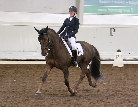 Rodrik ja Laura Porthan.