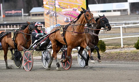 Maestro Crowen rattaille palaa Jägersrossa Johan Untersteiner.