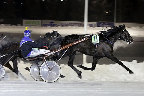 Heros du Monde tuplasi voittosummansa helmikuussa Vermossa ja lähtee toivepaikalta Pilvenmäki Specialin finaaliin.