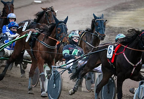 Miten turvataan hevostalouden tuen jatkuvuus, ennakoitavuus ja riittävyys, puolueilta kysyttiin.